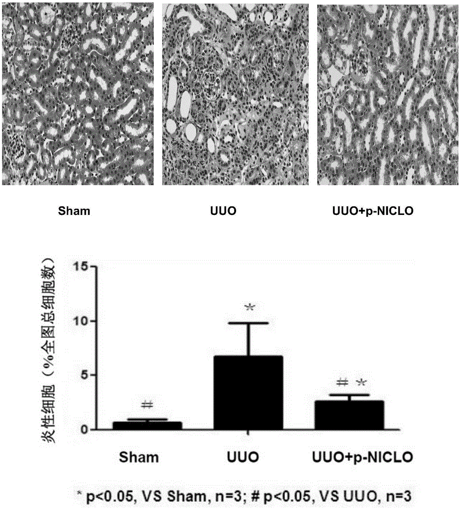 长征五号发射失利，但这并不是抹黑中国航天的借口“AG亚娱集团官方”