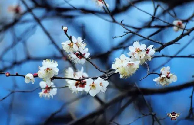 腾讯王卡日租宝升级为全国流量:1元800MB四种套餐介绍|AG亚娱集团(图2) AG亚娱集团官方