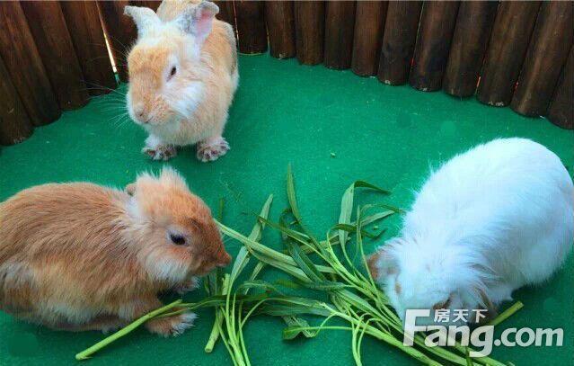 ag亚娱官网_如何在社交媒体上找到目的受众？