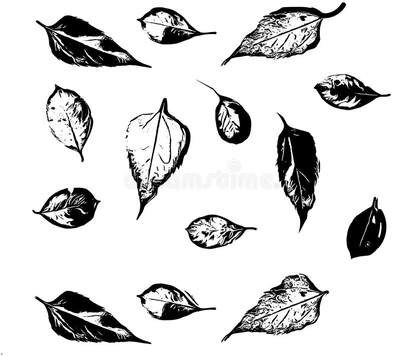 AG亚娱集团官方