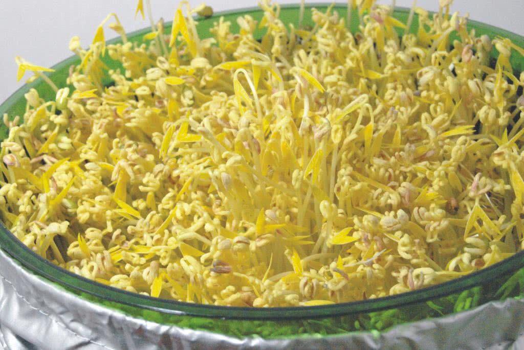 ag亚娱官网_UCloud出海记:神秘的东南亚云计算赛道,还没到划地盘的阶段(图3) AG亚娱集团