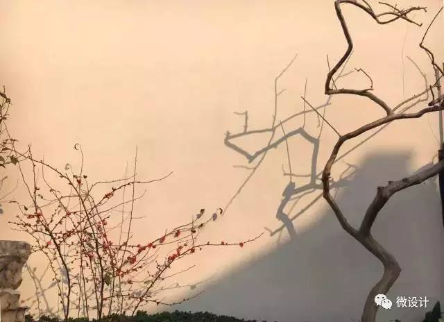 「齐齐哈尔新闻热线」清理小广告美化小区情况-AG亚娱集团官方(图3) ag亚娱官网