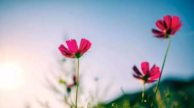 ag亚娱官网_
傲人的中国速度 由欧曼服务守护