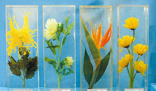 AG亚娱集团官方-
【阿城新闻】我区召开重点事情集中深入宣传报道对接座谈会(图2) AG亚娱集团