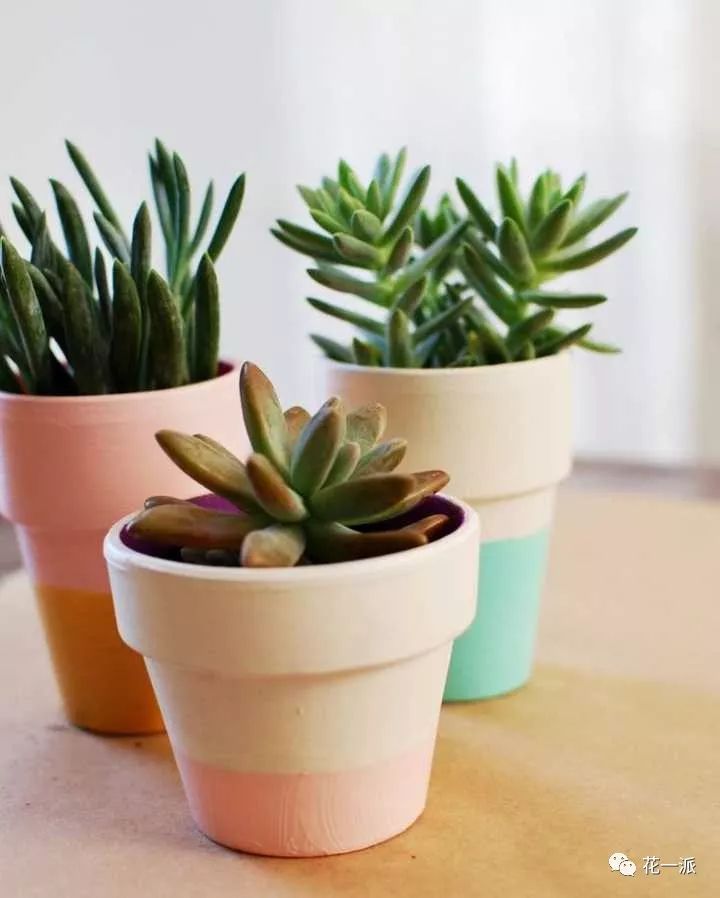 “AG亚娱集团官方”黑龙江省政府采取措施 加强春季防火安全工作(图2) AG亚娱集团官方