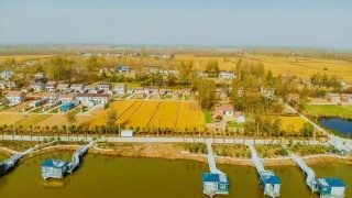 克拉玛依消防开展北疆大型石油化工灭火演练‘ag亚娱官网’(图3) AG亚娱集团