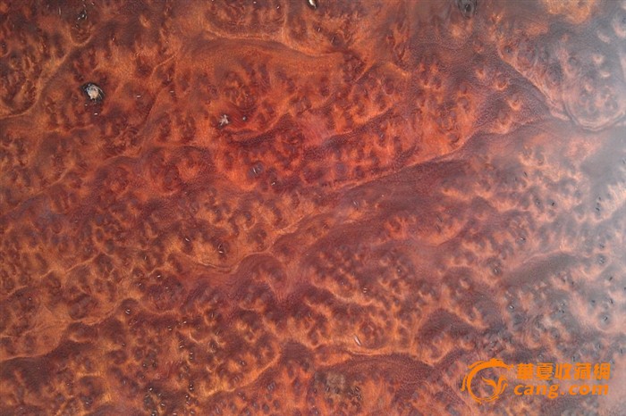 AG亚娱集团:厚德特劳特定位课开课—EMBA学不到的商战知识(图4) AG亚娱集团官方