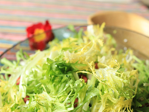 “AG亚娱集团”2019媒体融合发展论坛在深圳举行