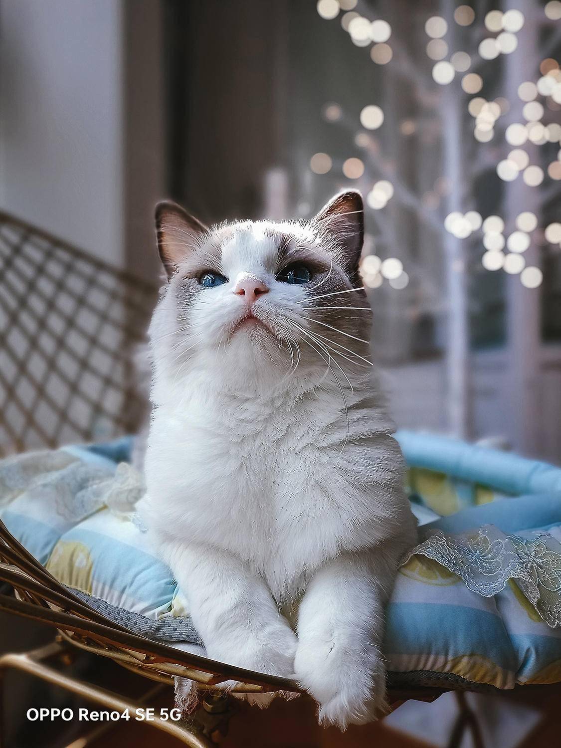 ag亚娱官网:
央媒打call!绿厂超级闪充成中国速度代表 给5分钟更多可能(图11) ag亚娱官网:
央媒打call!绿厂超级闪充成中国速度代表 给5分钟更多可能(图11)