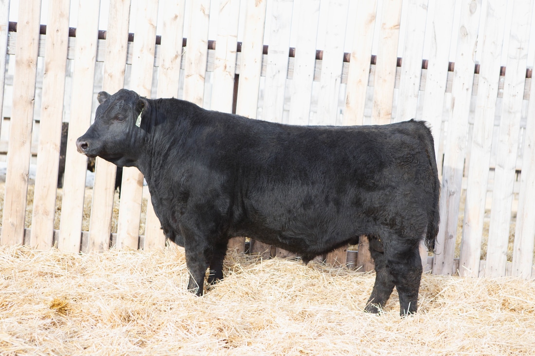 
牛！长沙一连13年上榜 中国最具幸福感都会_AG亚娱集团官方