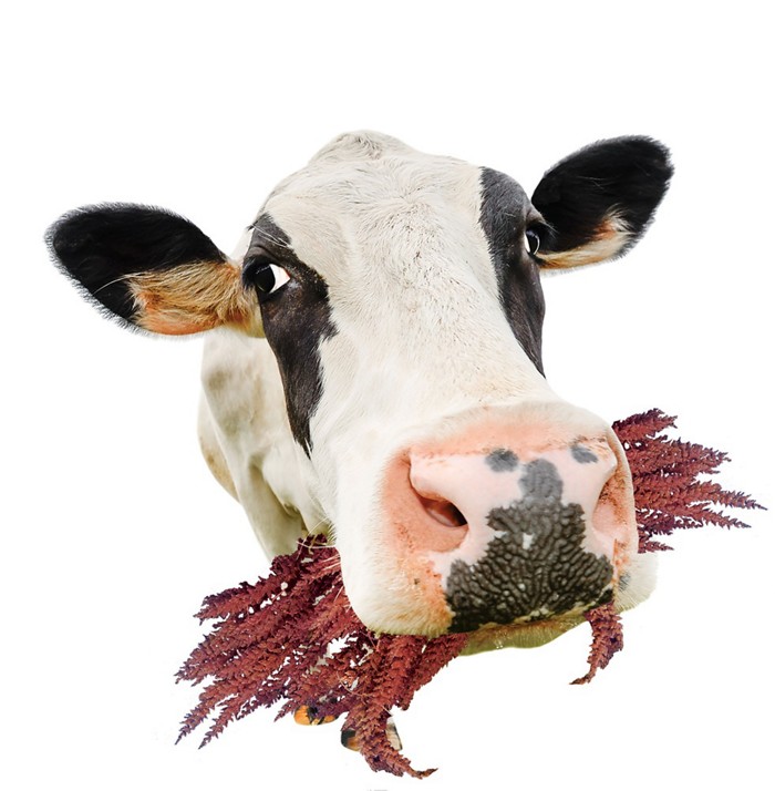 京东全面启用区块链溯源技术:打击假货_AG亚娱集团(图2) AG亚娱集团官方