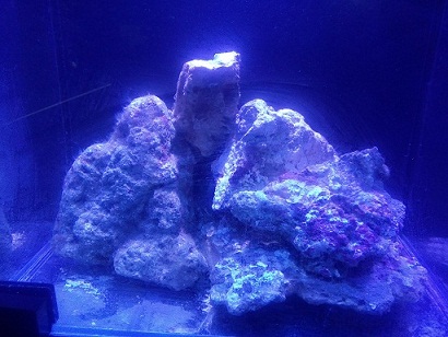 株洲:攸县消防联合县妇联开展精准扶贫工作‘ag亚娱官网’(图1) AG亚娱集团官方