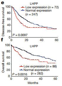 德国第一辆使用氢燃料供能的火车,只排放蒸汽‘AG亚娱集团官方’(图2) AG亚娱集团