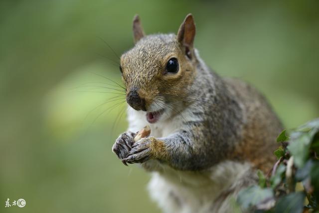 ag亚娱官网|
最新造价预算的收费尺度 不相识则会堕落误！