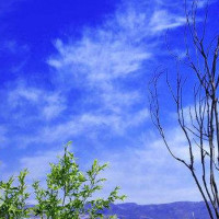 AG亚娱集团-贵州黔西消防开展文广局行业系统安全培训演练活动