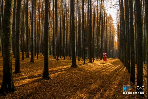 AG亚娱集团官方