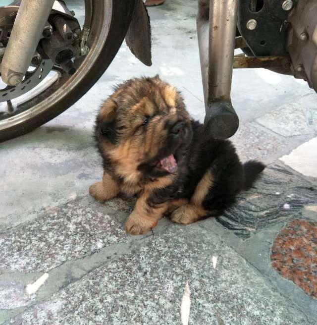 AG亚娱集团官方