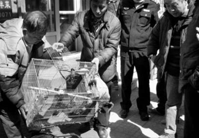 USBType-C是如何成功上位的？_ag亚娱官网