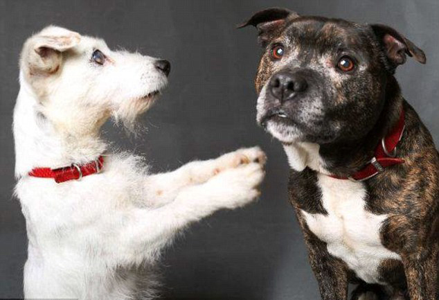 天了噜，腾讯课堂的TVC被学霸们瞬间玩坏…：AG亚娱集团官方