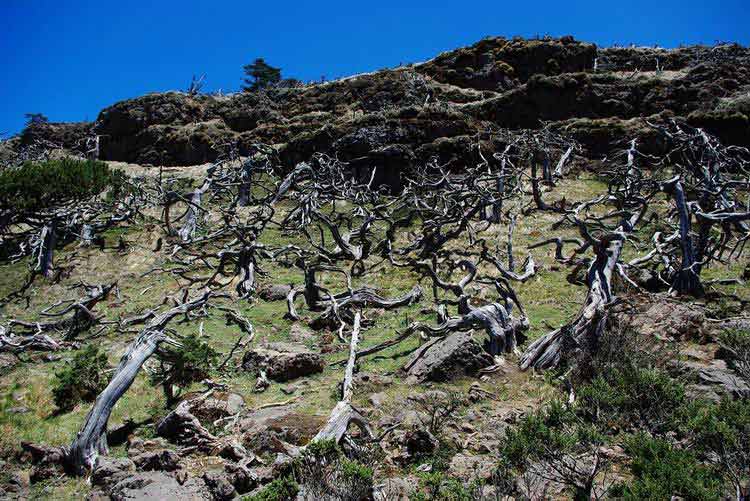 AG亚娱集团|
求职遭遇“色情骚扰” 小心隐藏在招聘网站里的“皮条客”!(图5) ag亚娱官网