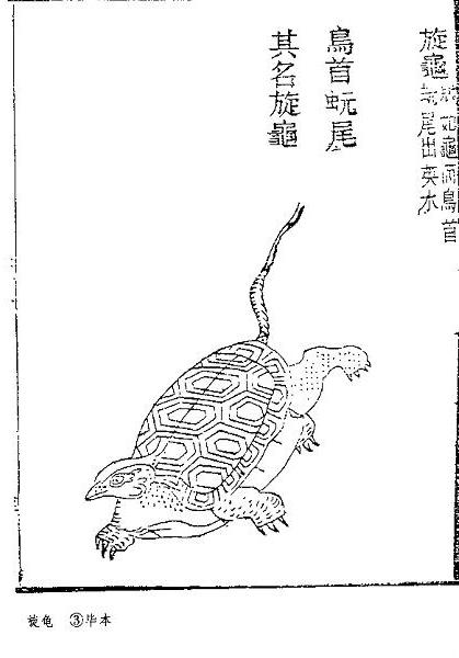 AG亚娱集团：特朗普怒怼欧盟：我家孩子你不能打，只能我自己打