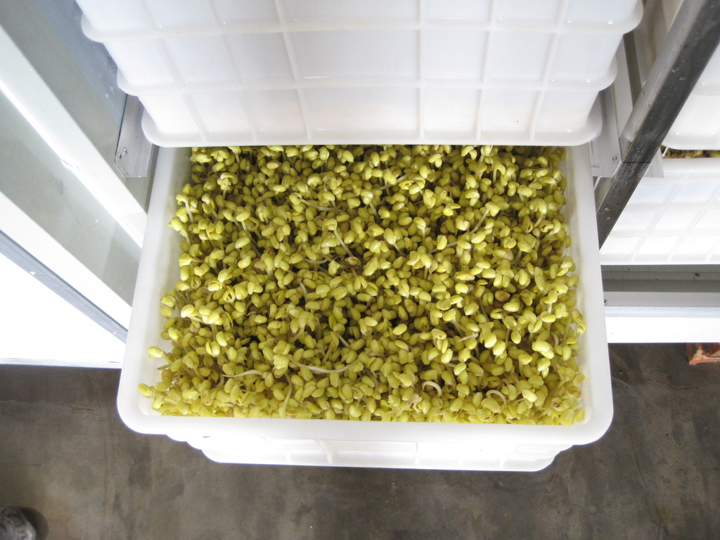 2018年1月31日月全食将现身天宇“红月亮”观赏时间表|AG亚娱集团