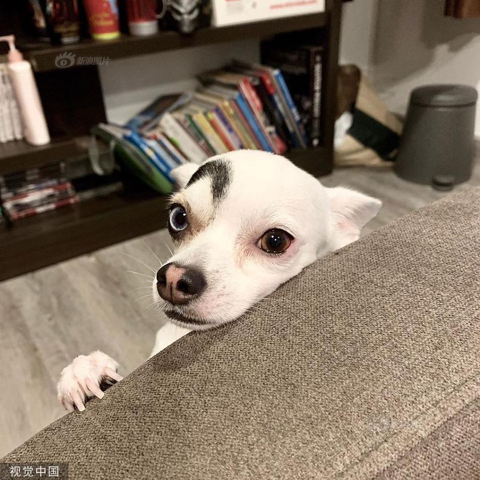 盐的这几大妙用，受用一辈子，做饭是最根基的，你用对了几条？_ag亚娱官网