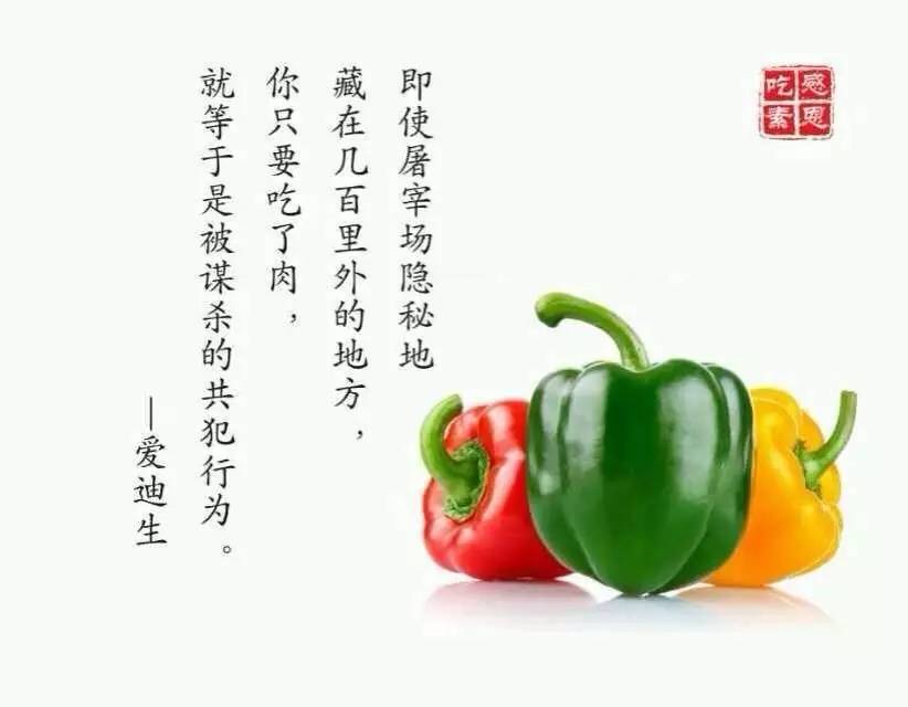 AG亚娱集团官方