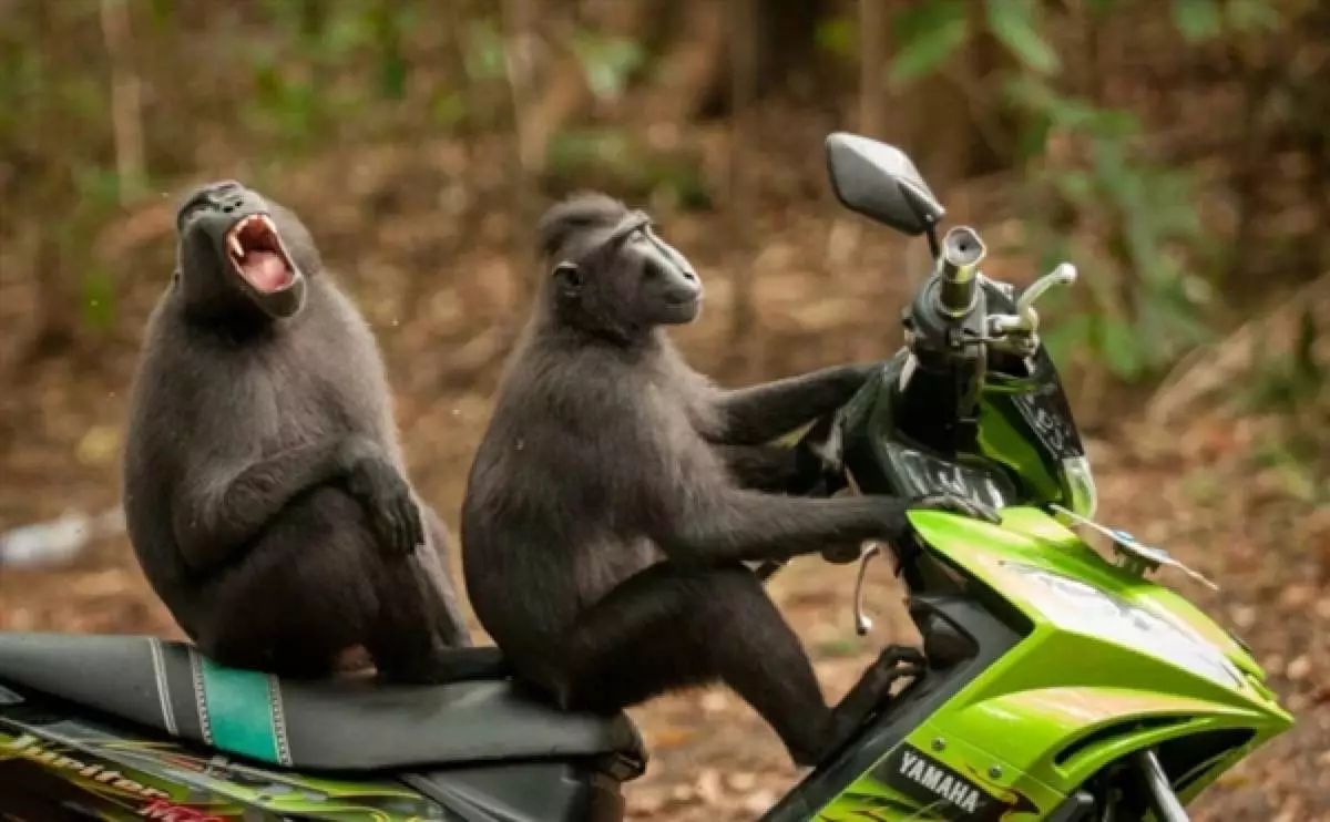 AG亚娱集团官方