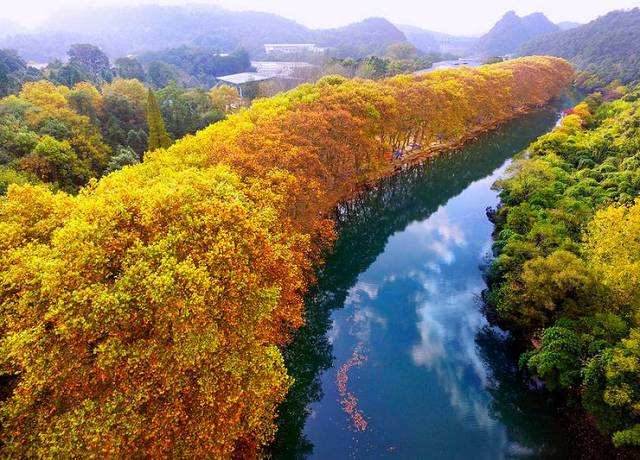 
11月最后13天虎·羊·蛇三生肖厄运远离 小人不近 今后富贵到年底‘AG亚娱集团官方’