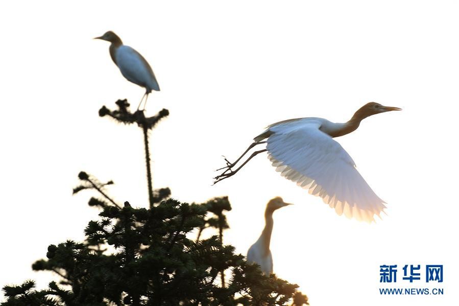 AG亚娱集团官方