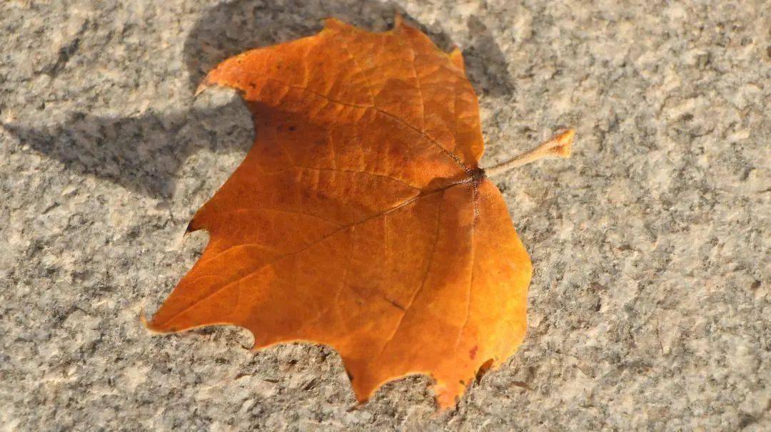 
新媒体中心开展单反相机使用技术培训“AG亚娱集团”(图12)