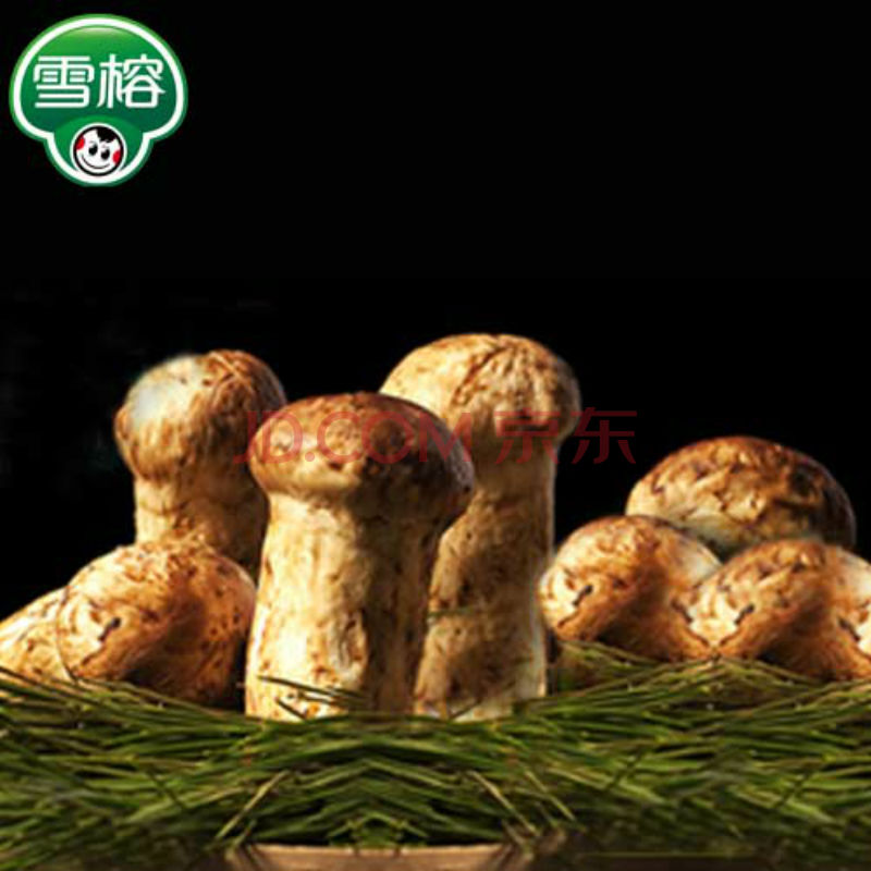 北上广容不下肉身三四线放不下灵魂文章全文（插图）|AG亚娱集团