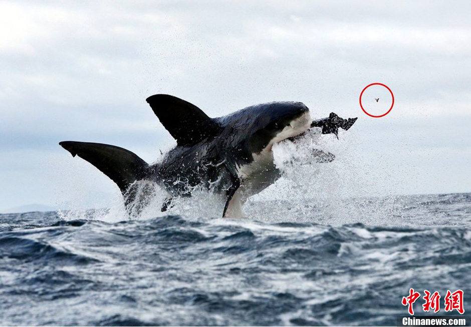 AG亚娱集团官方