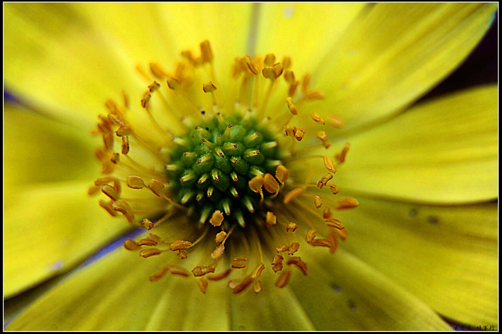 ag亚娱官网_熊猫TV南波儿被赞“电竞迪丽热巴”南波儿火辣生活照片