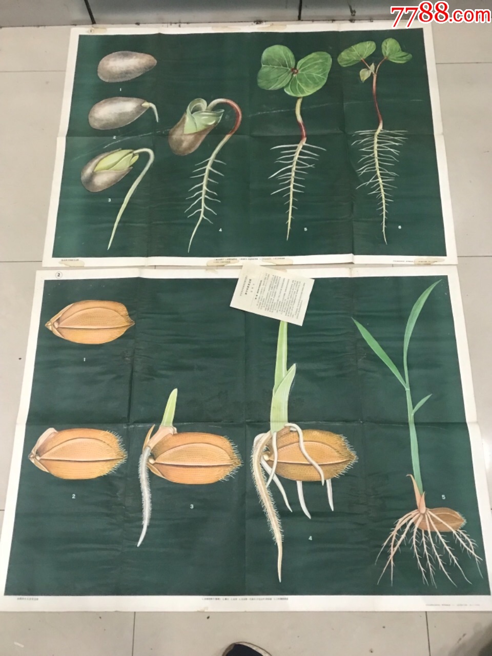 ag亚娱官网_漳州云霄边防开展 “祭先烈•颂忠魂•砺前行”烈士纪念活动