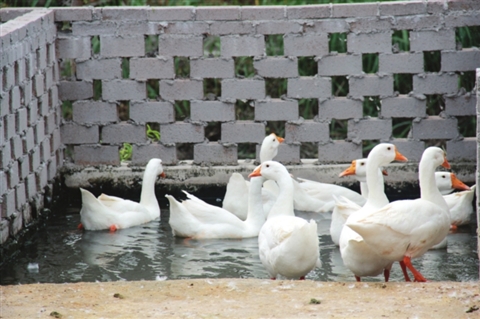 AG亚娱集团_春风体是什么梗什么意思 春风十里不如你好听文艺句子大全(图3) AG亚娱集团