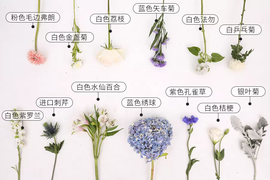 “ag亚娱官网”亚马逊在中国认输了